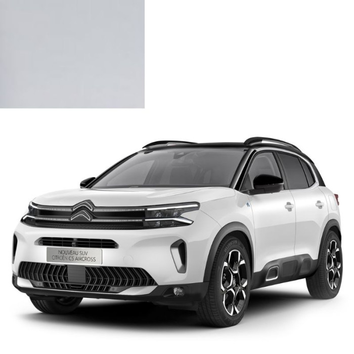 Фарба за кодом акрилова біла 210F BLANC для автомобілів Citroen