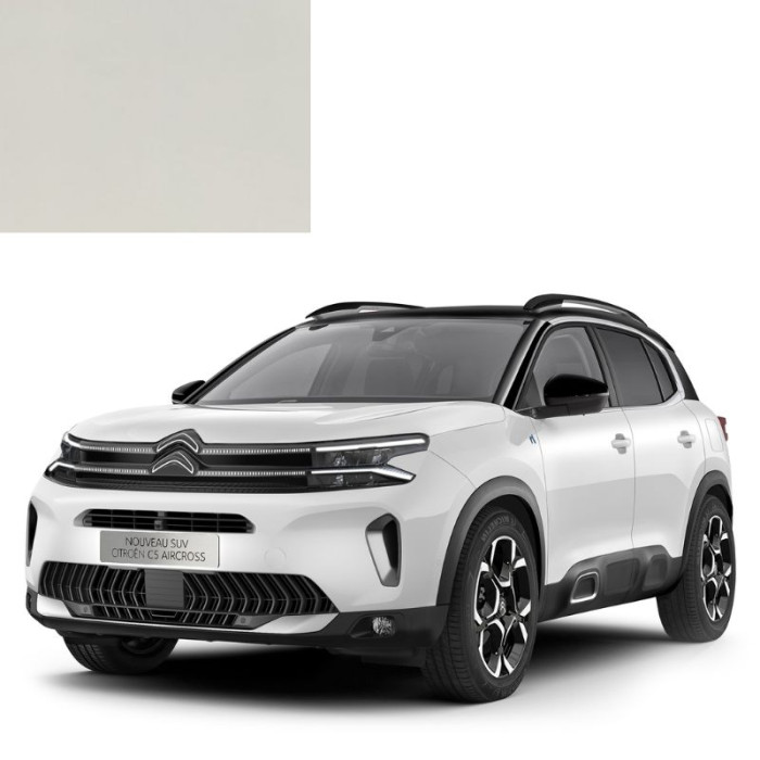 Фарба за кодом акрилова біла EWP WHITE для автомобілів Citroen