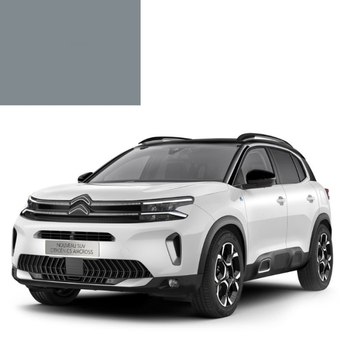 Фарба за кодом акрилова сіра EYK APPRET GRIS MOYEN для автомобілів Citroen