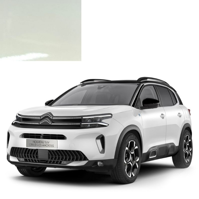 Фарба за кодом акрилова біла H9 BLANC ANTARCTIQUE для автомобілів Citroen