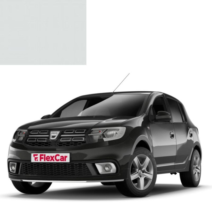 Фарба за кодом акрилова біла 10004 (A11) ALB BOREA для автомобілів Dacia