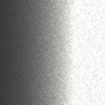 MUA / CUA / 391 / 363