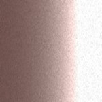 CMP10038 / PHN / P38