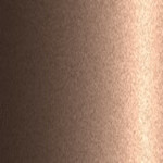 C19 / AC10719 / PT1 / AC10710